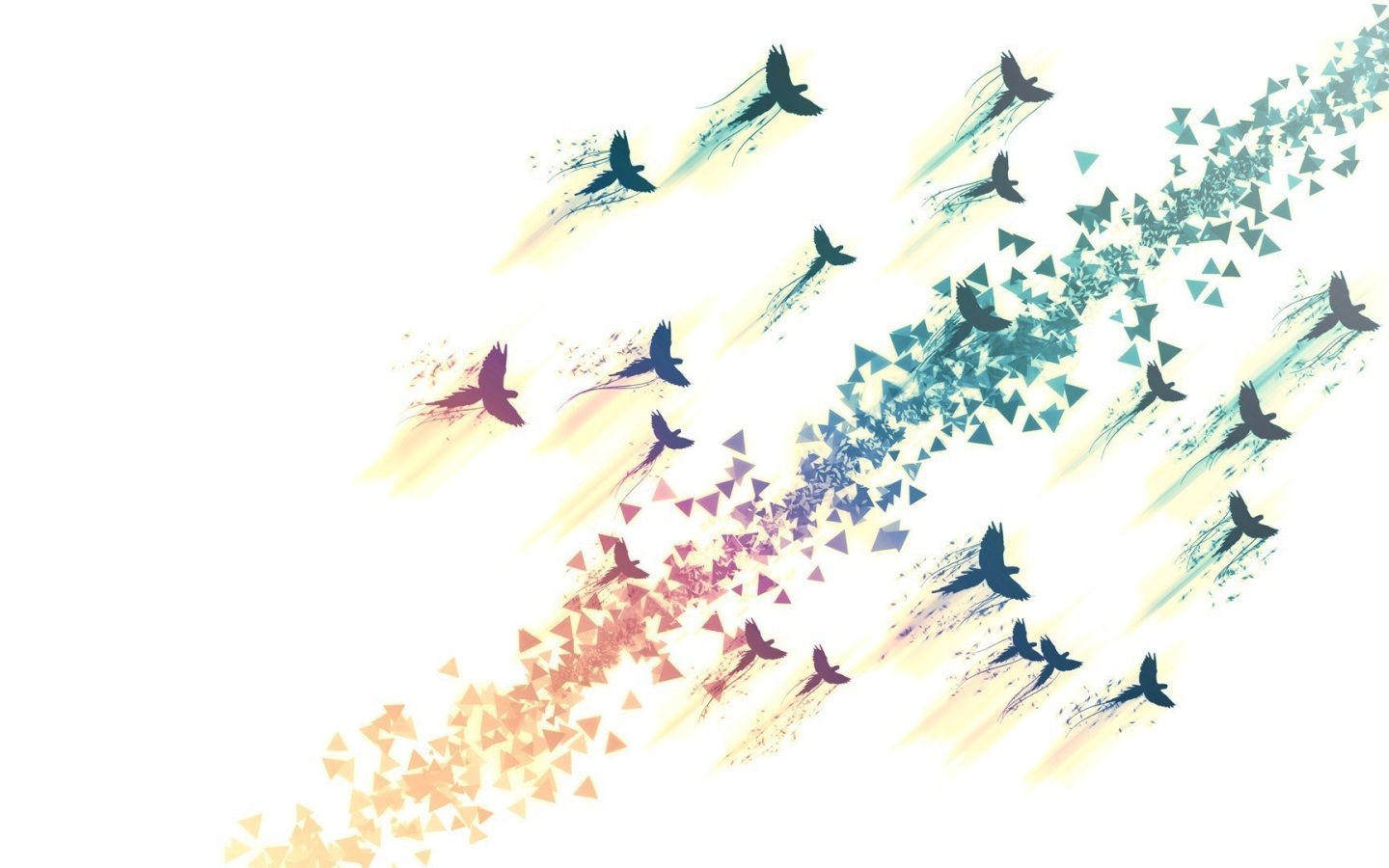 Нарисованные птицы на белом фоне