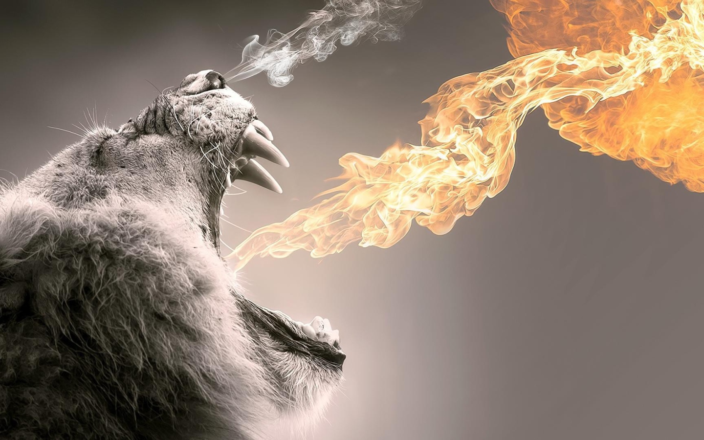 Пламя из пасти мохнатого животного