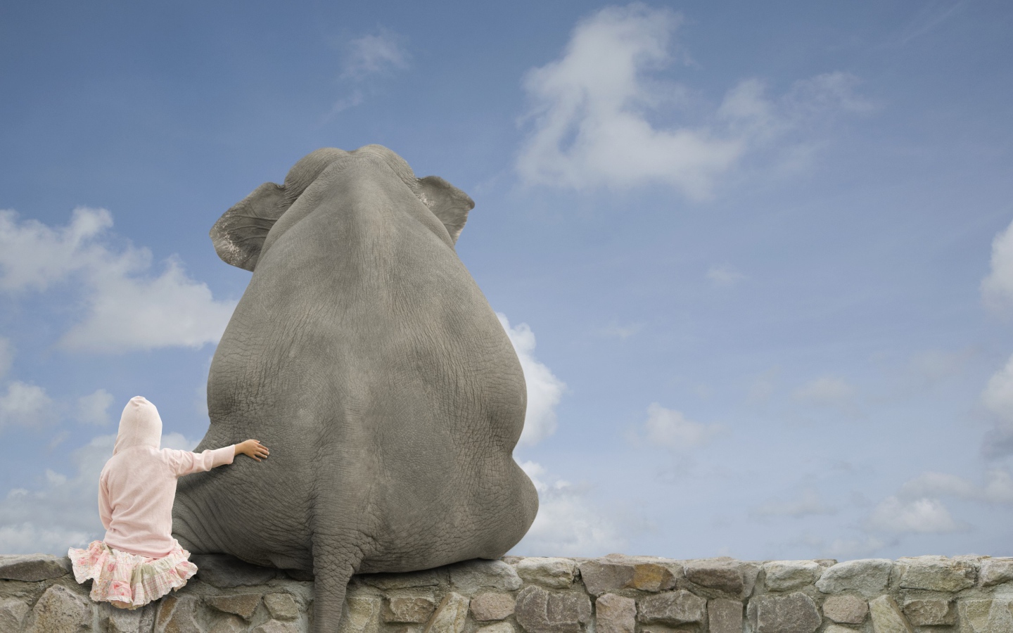 Девочка обнимает слона