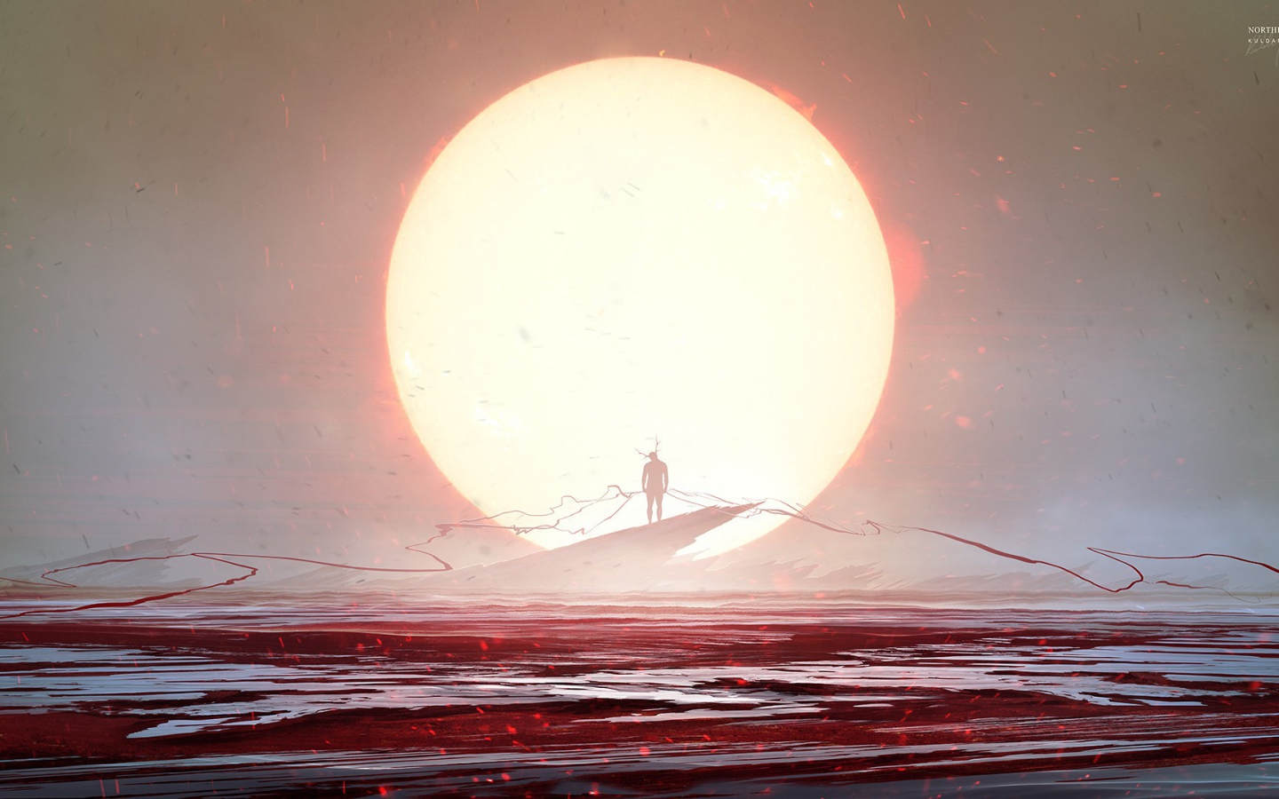 Солнце в чужом мире, Kuldar Leement