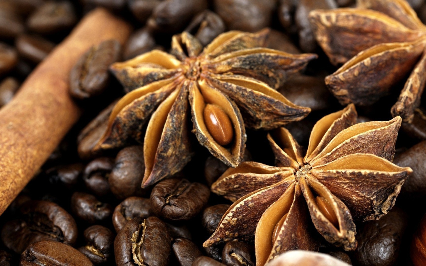Плоды бадьянового дерева