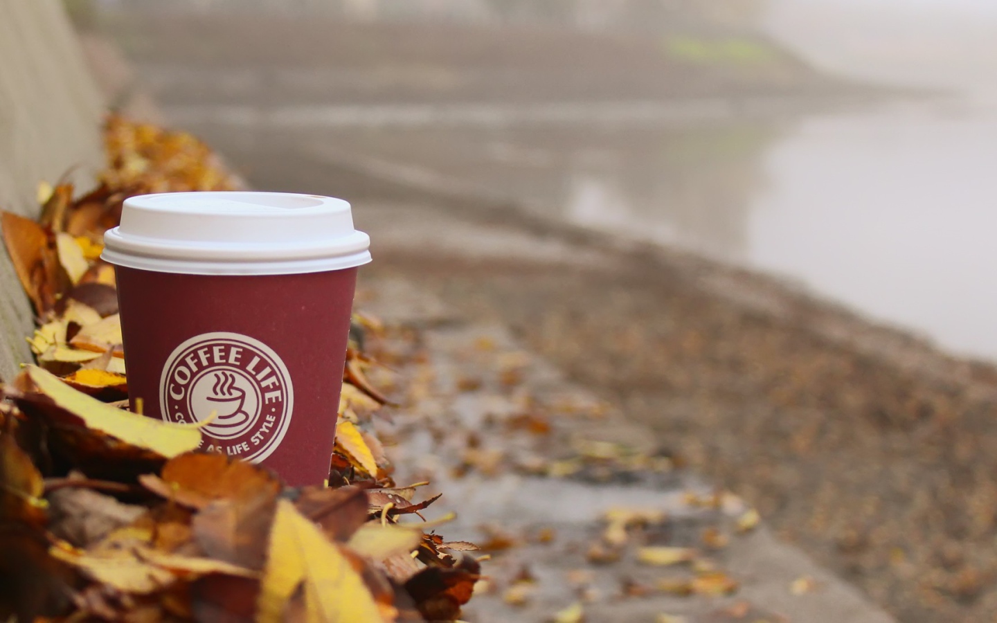 Стакан кофе из Старбакс среди листьев