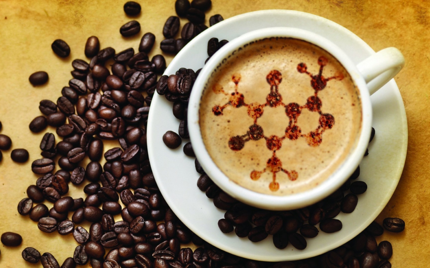 Формула на пенке кофе