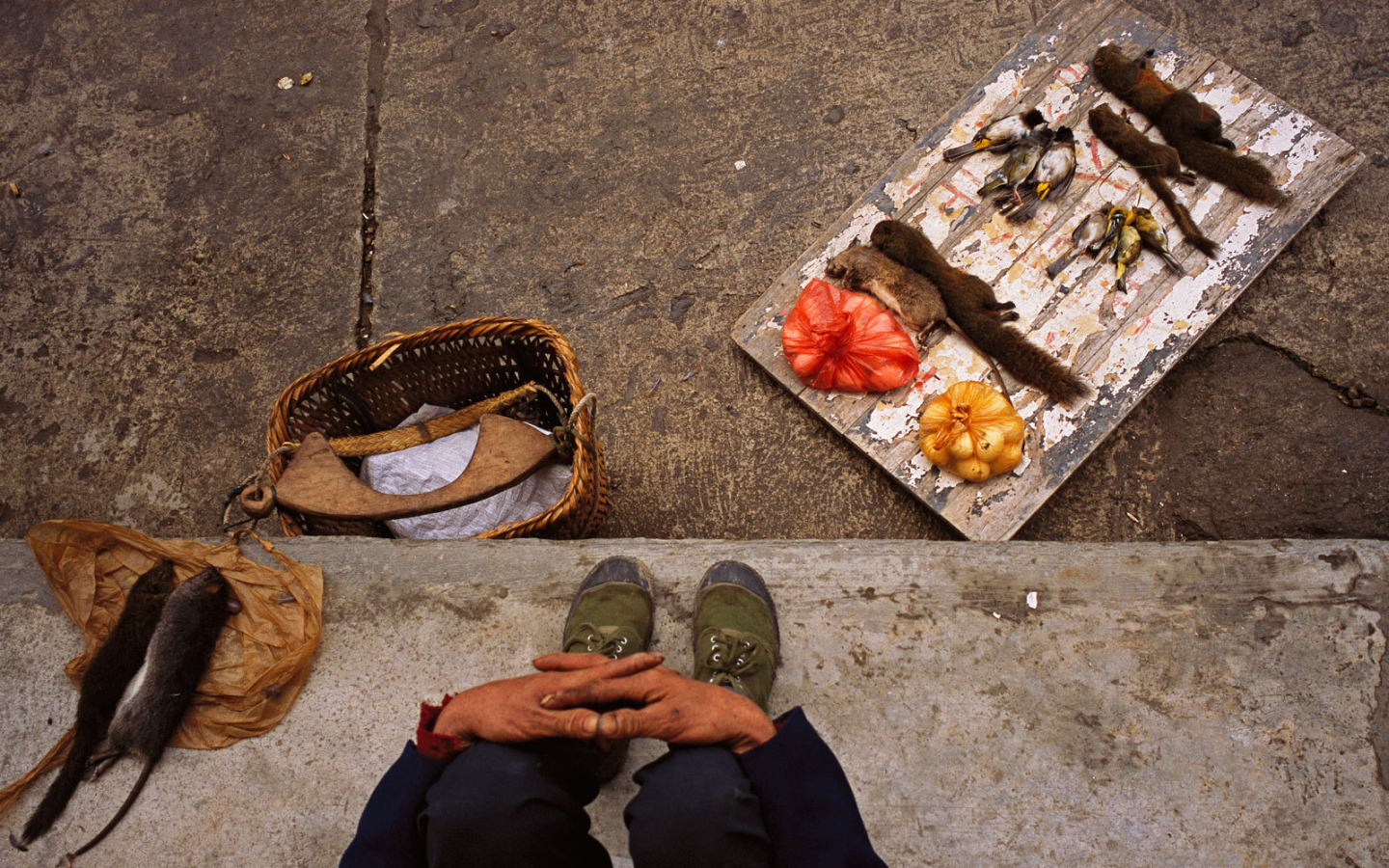 Торговля деликатесами