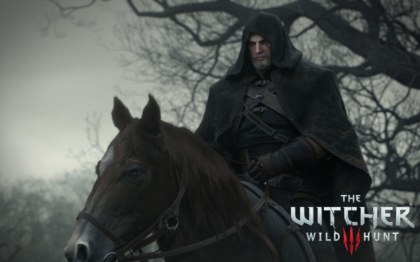 Черный всадник в игре The Witcher 3 Wild Hunt