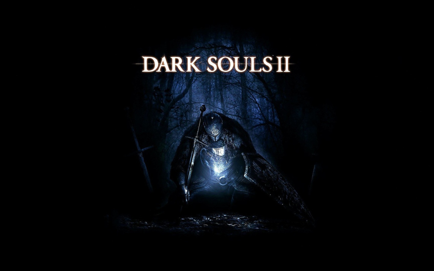 Компьютерная игра Dark Souls 2