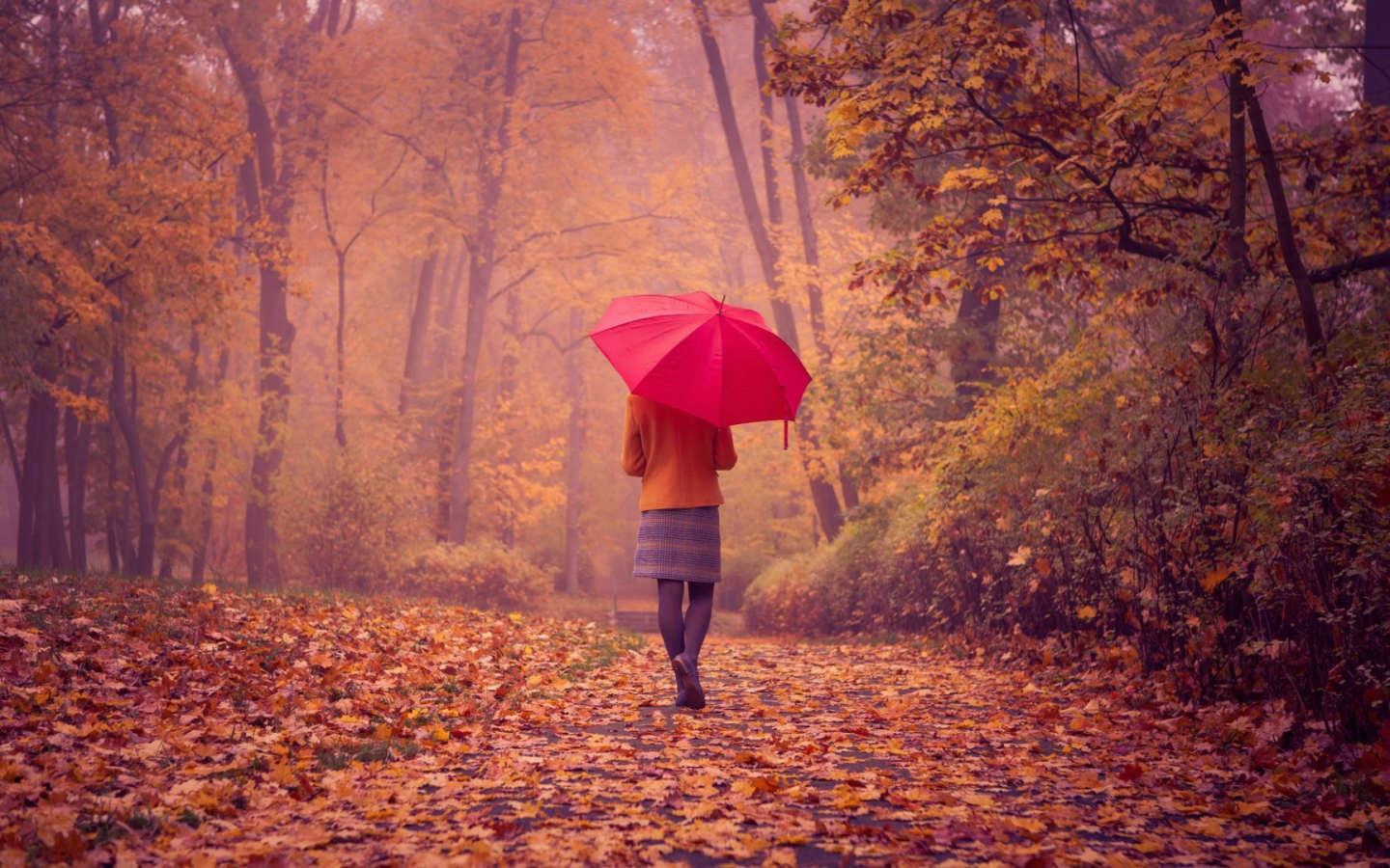 Девушка с красным зонтом идет по аллее