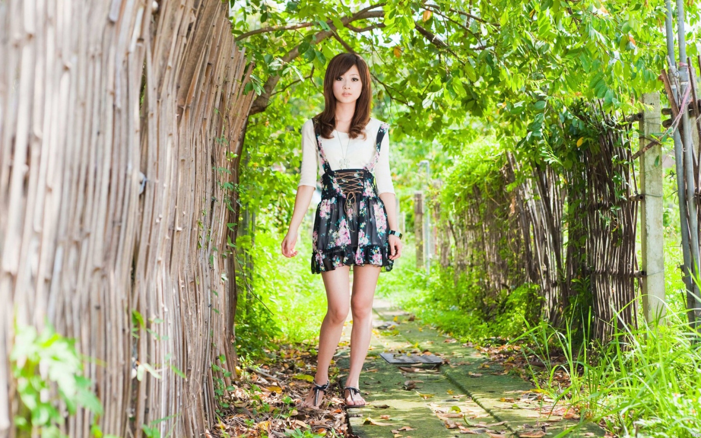 Японская девушка у бамбукового забора