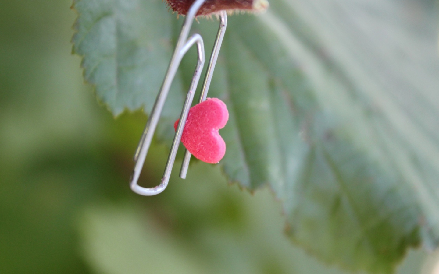 Скрепка с сердцем на зеленом листике