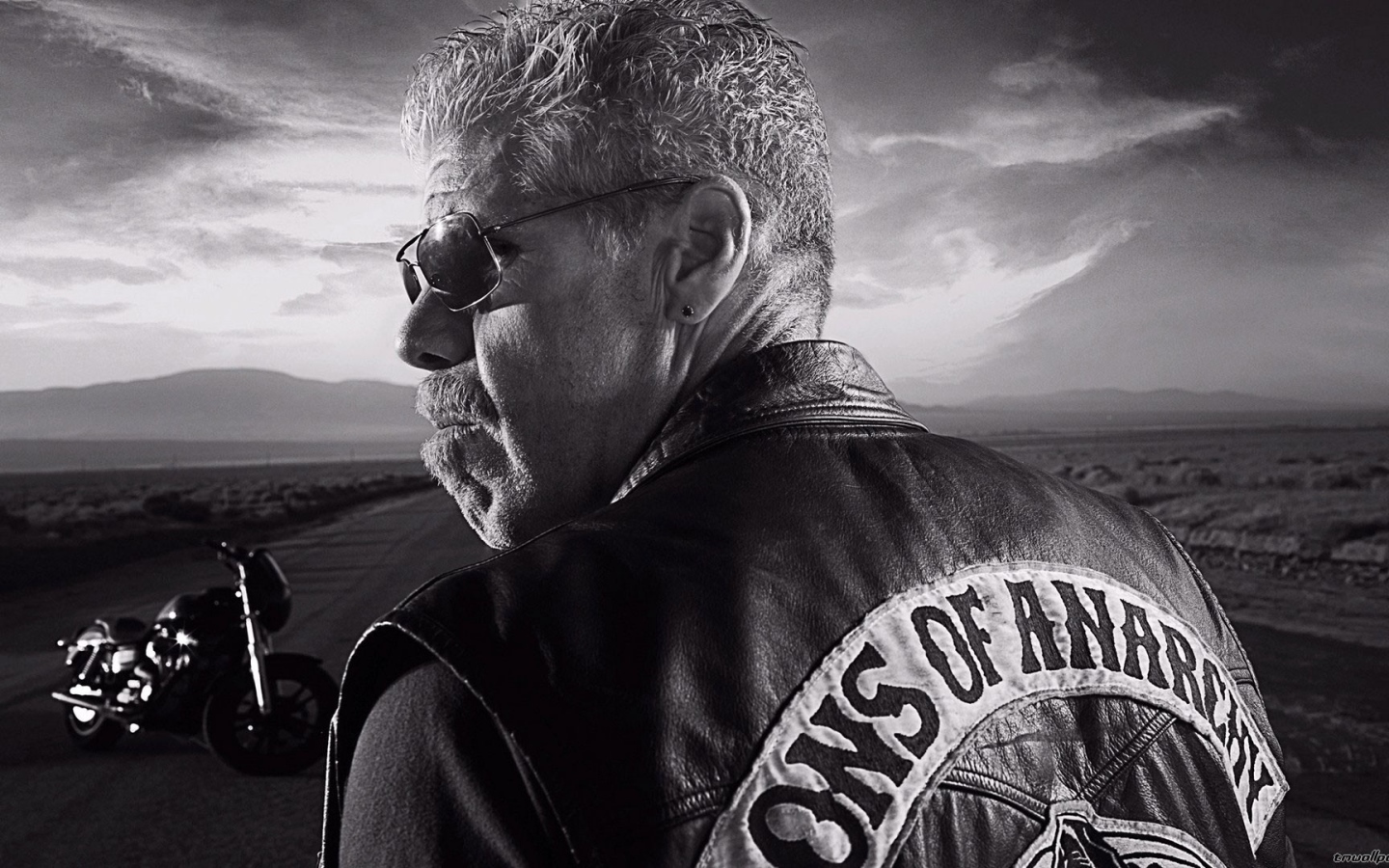 Байкер на дороге, Сыны анархии