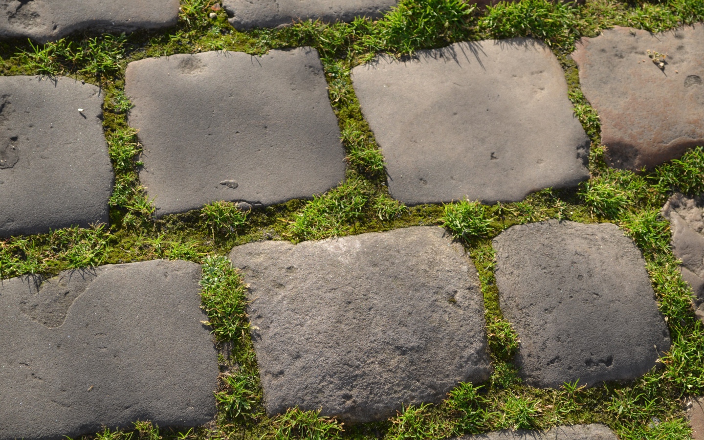Зеленая трава между блоков брусчатки