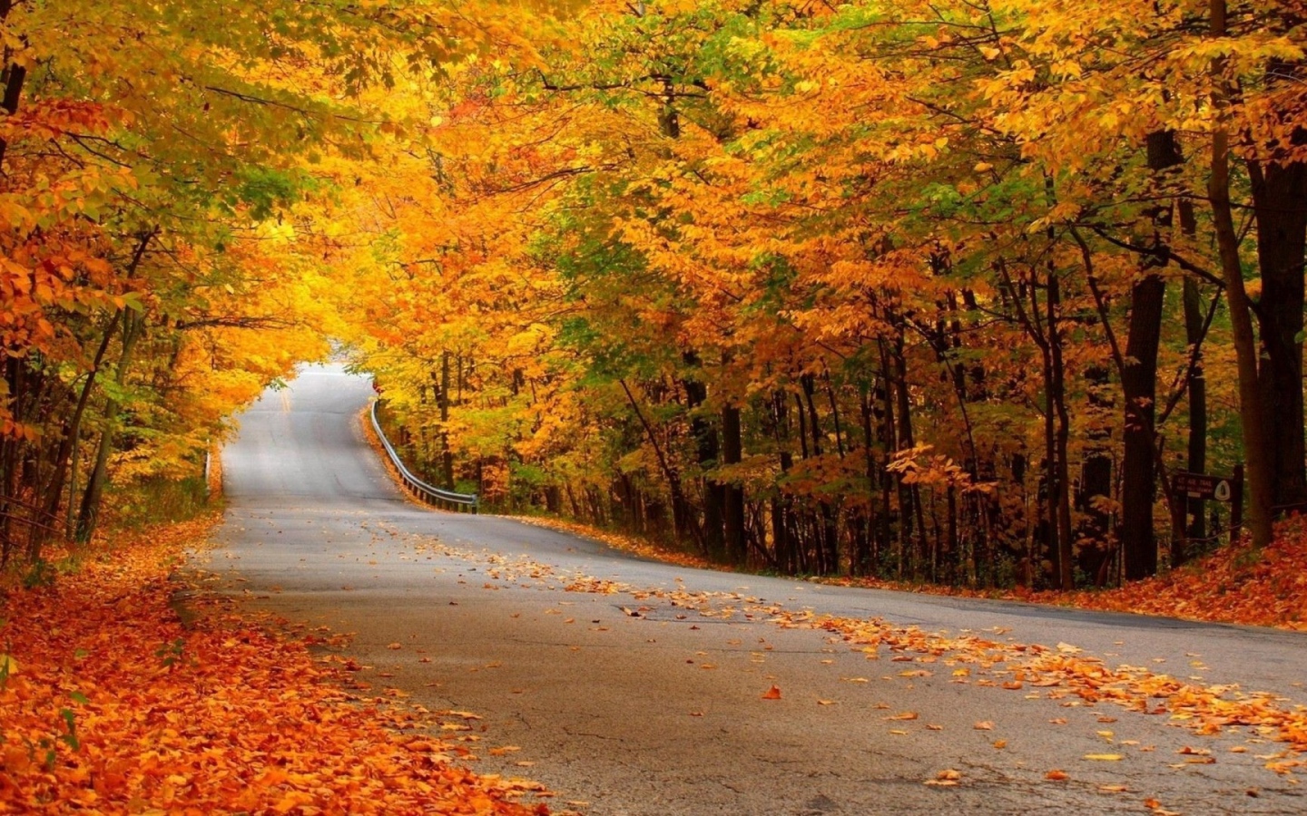 Автомобильная дорога в осеннем лесу