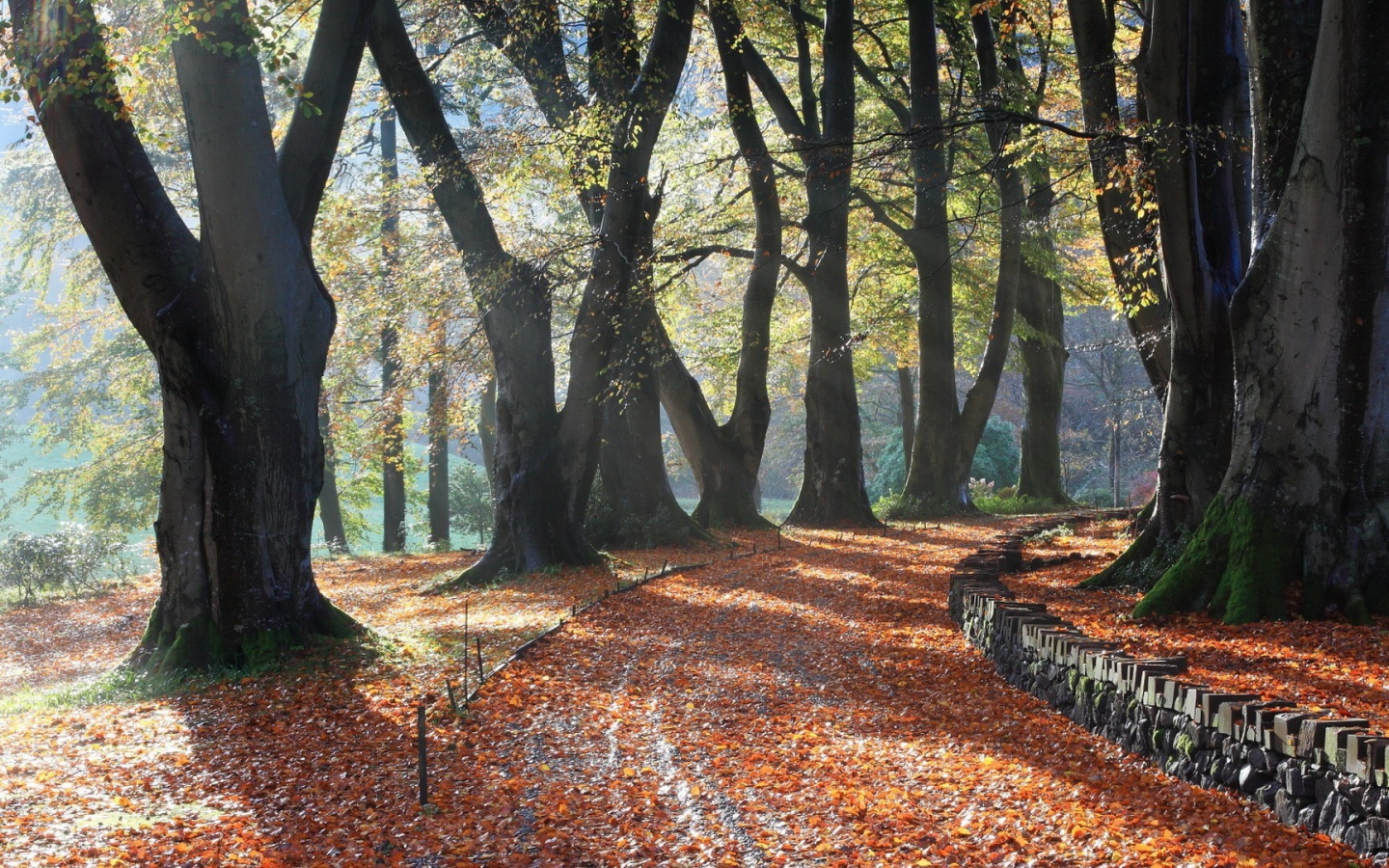 Поворот аллейки, усыпанной листьями