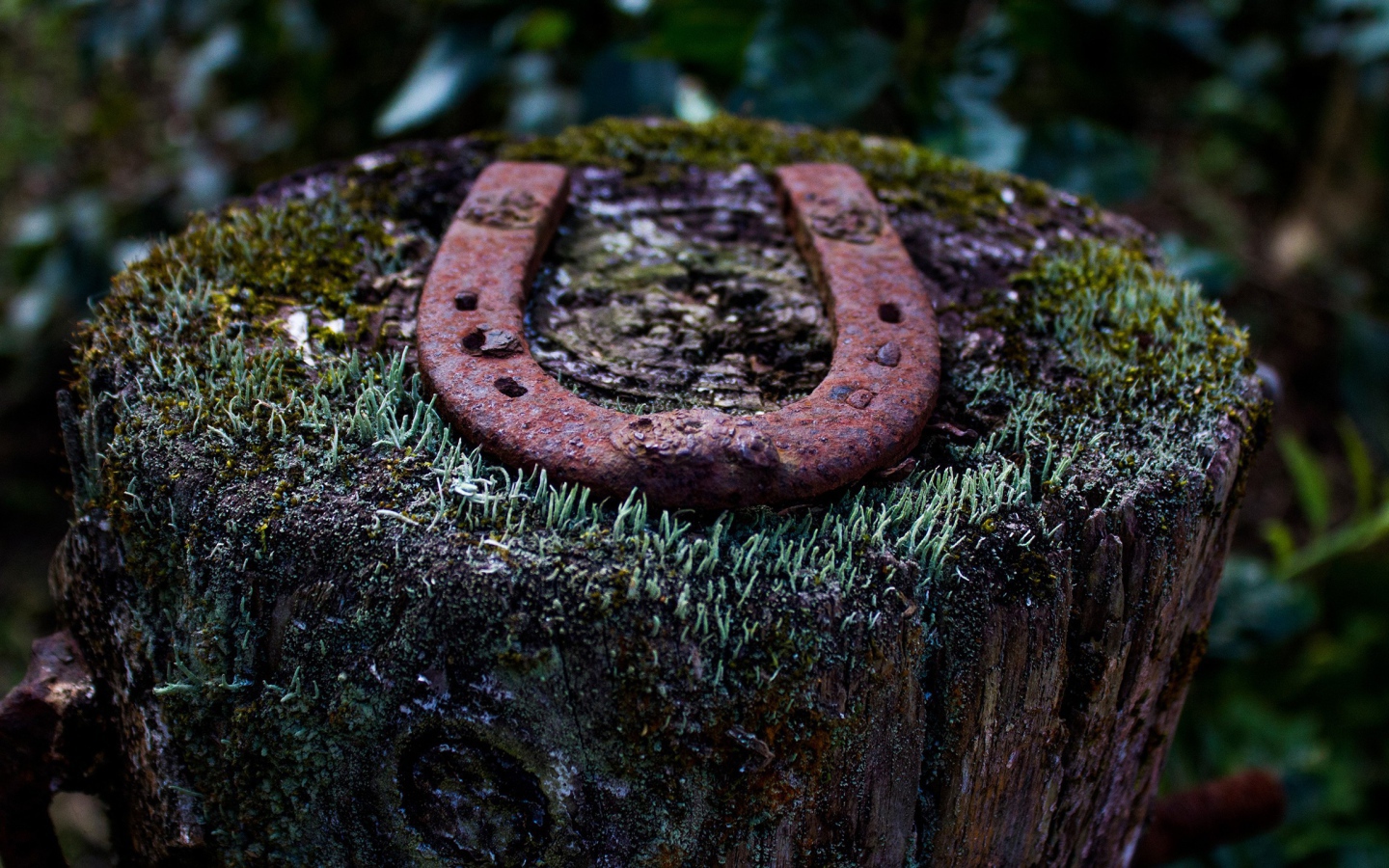 Ржавая подкова на пеньке