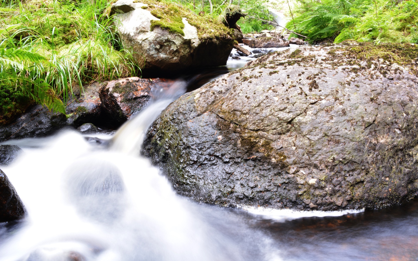 Ручей среди покрытых мхом камней