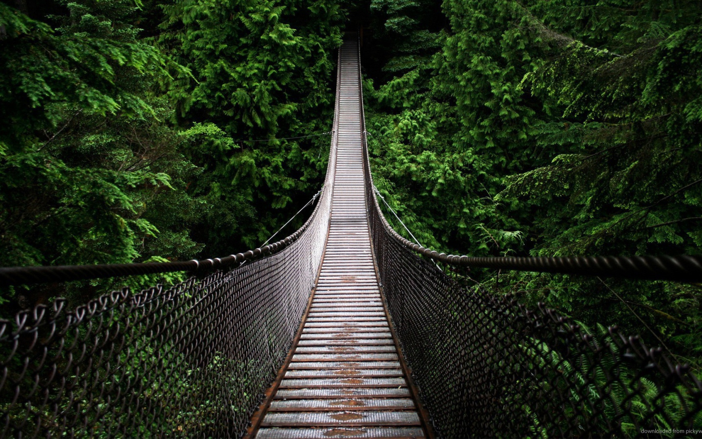 Подвесной мост на канатах