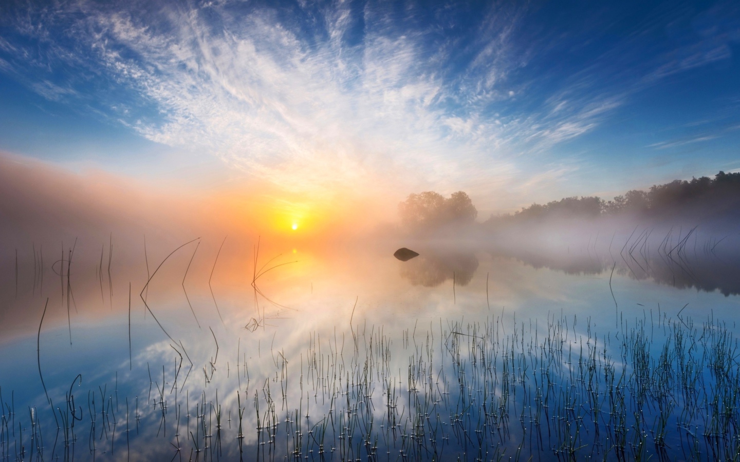 Желтое солнце в утреннем тумане