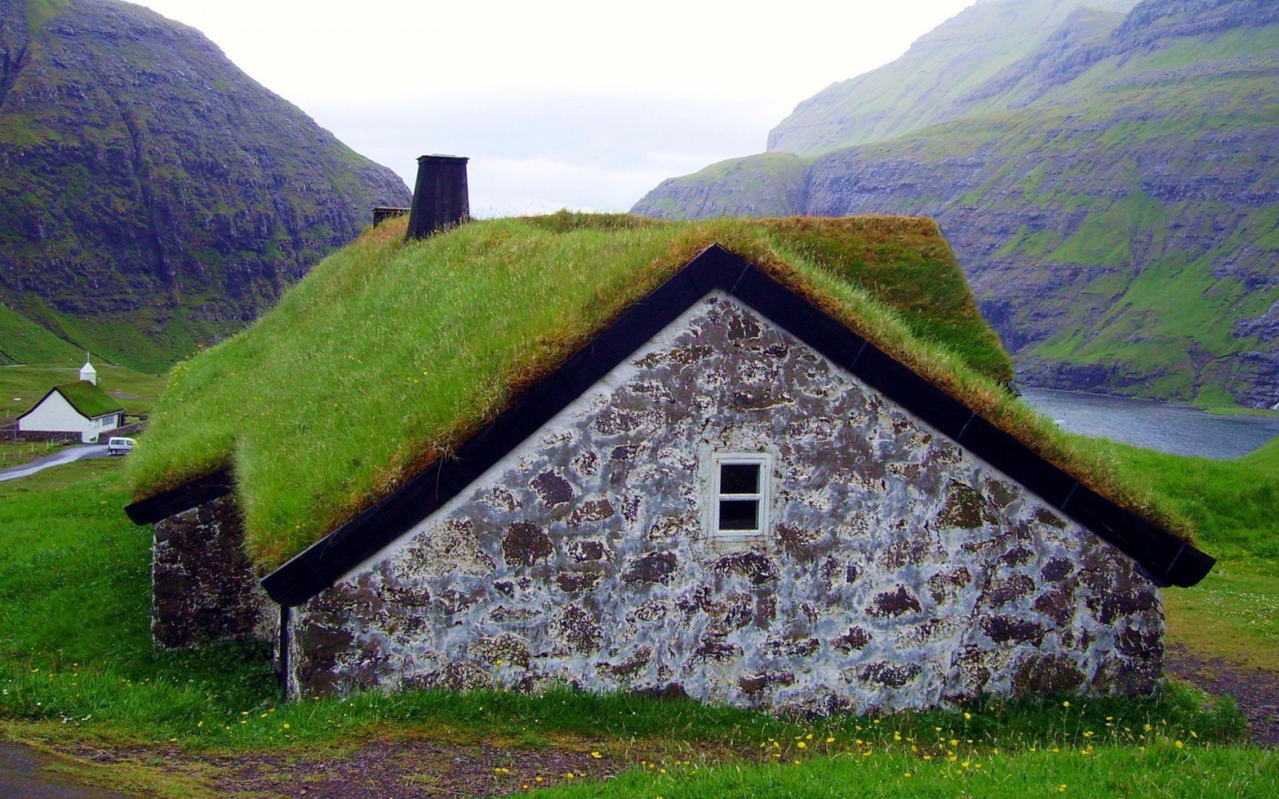 Густая трава на крыше сарая