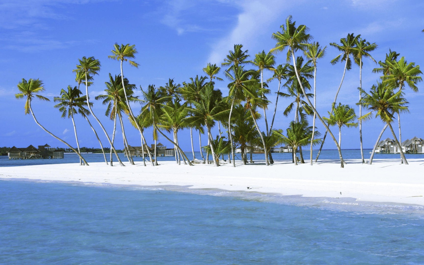 Пальмы на белоснежном песке