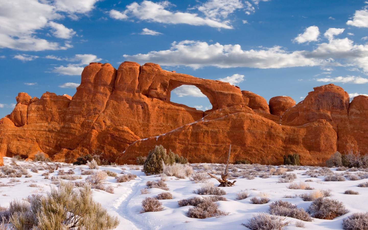 Редкий снег у скалы в пустыне