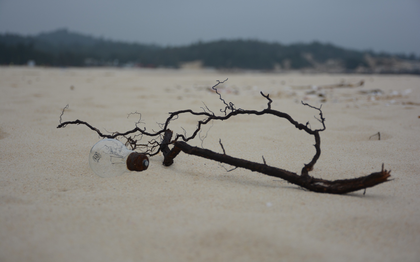 Черная ветка на белом песке