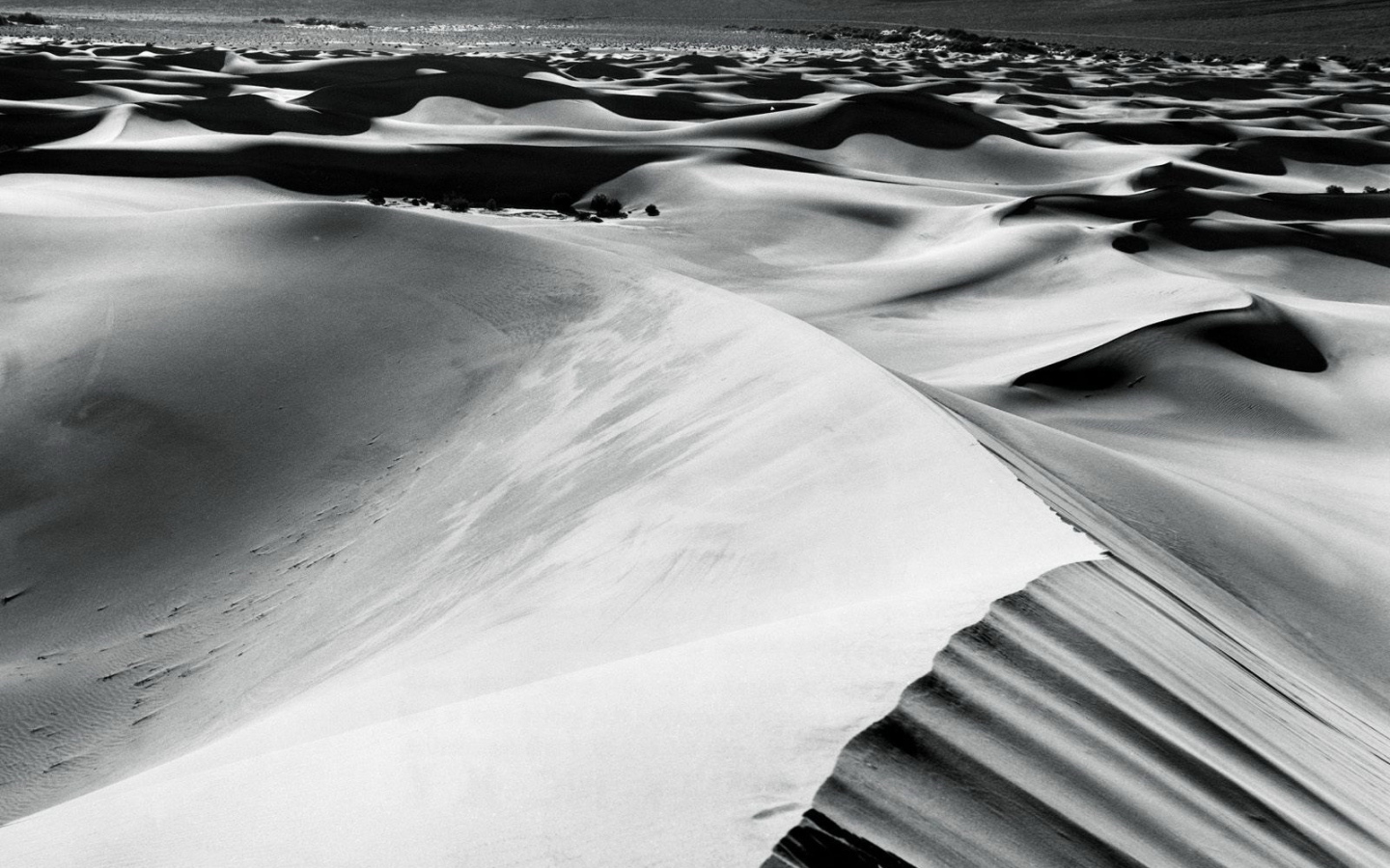 Барханы в пустыне