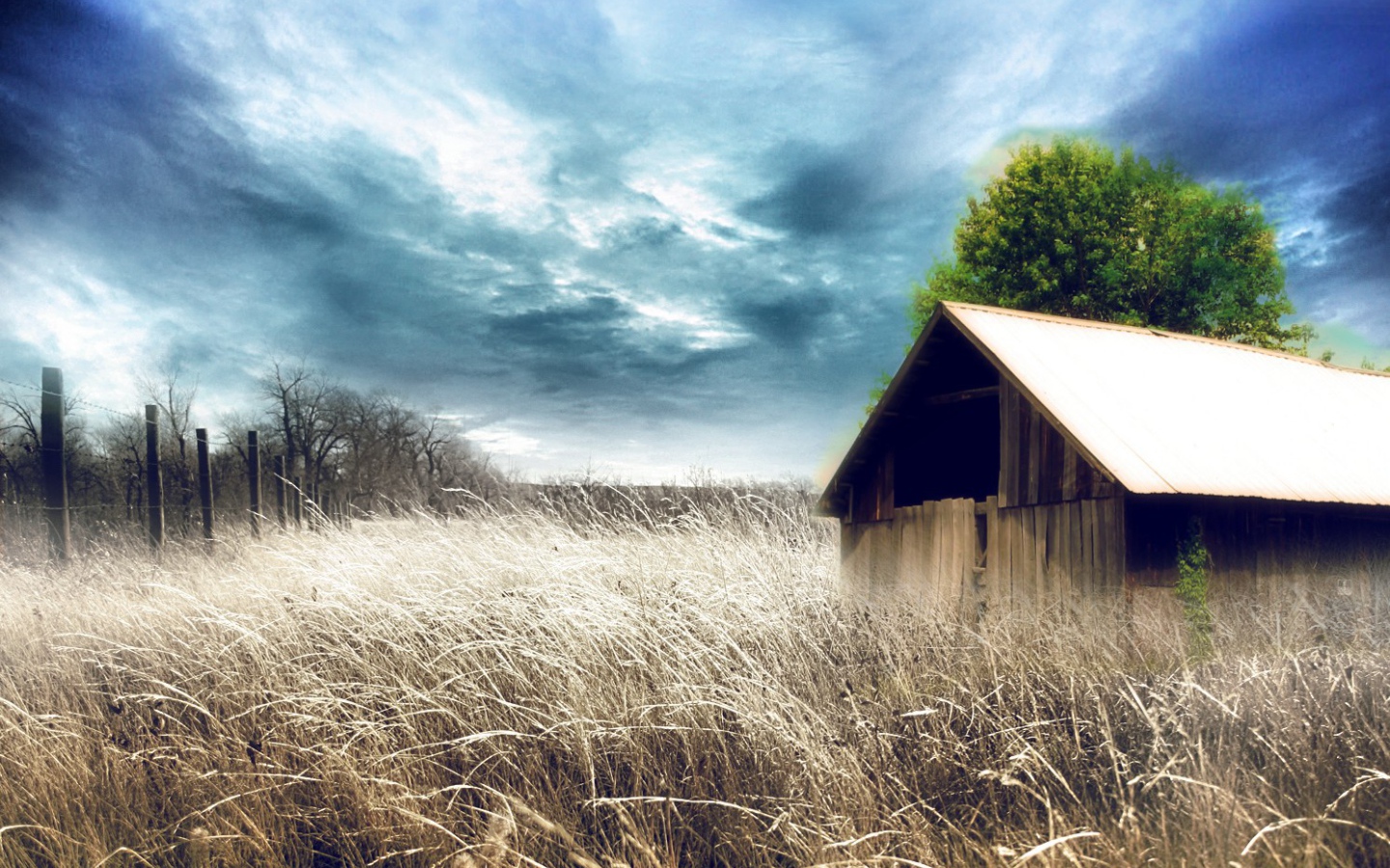 Сарай среди сухих зарослей