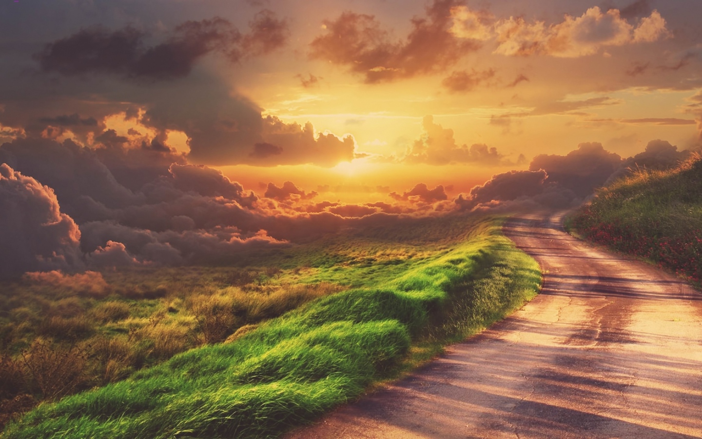 Зеленая трава у обочины дороги на закате