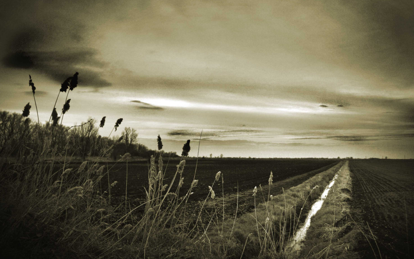 Оросительный канал