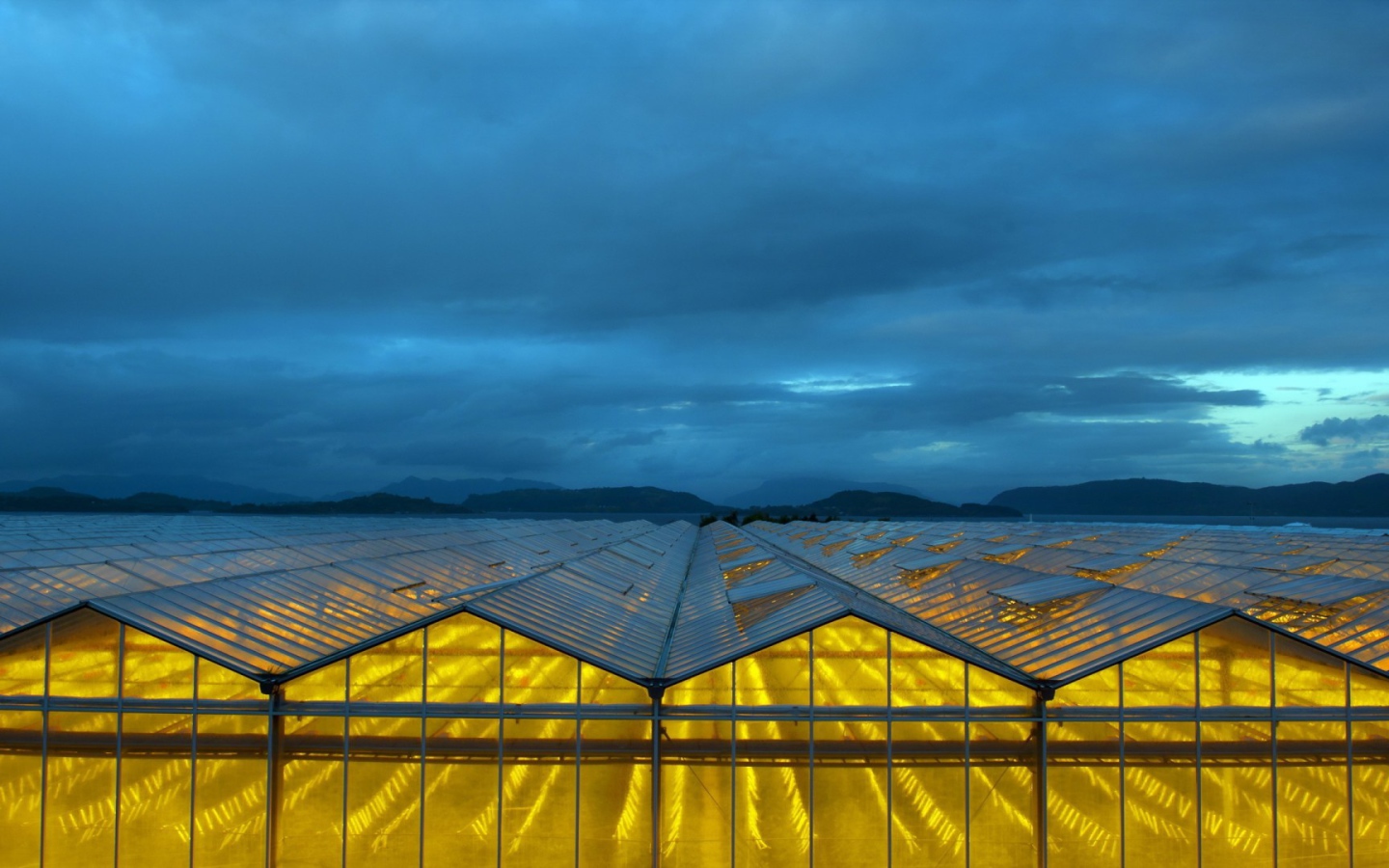 Желтый свет в стеклянных теплицах