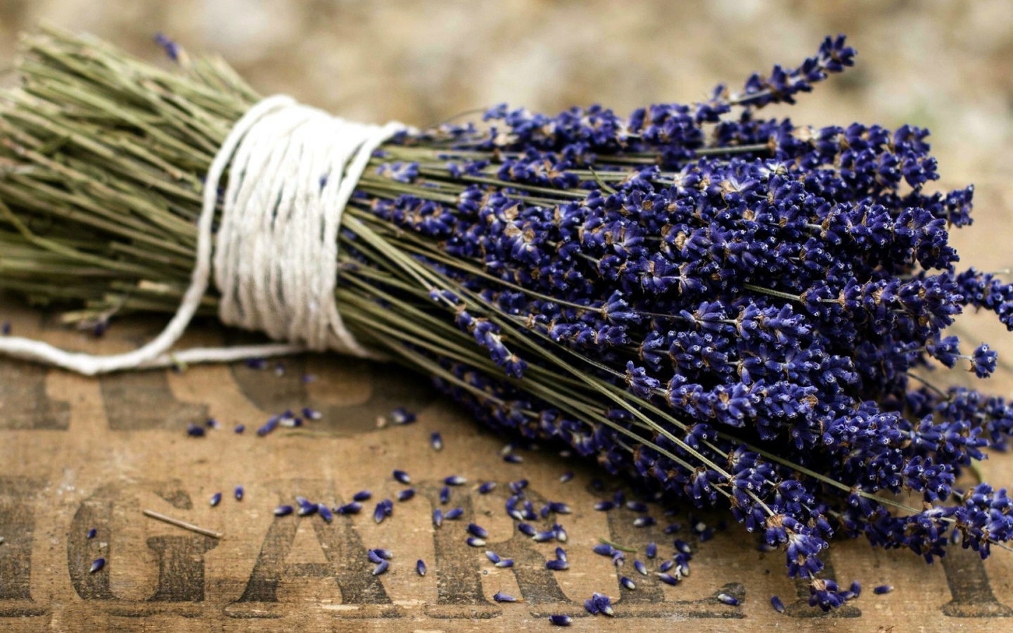 Букет цветов лаванды