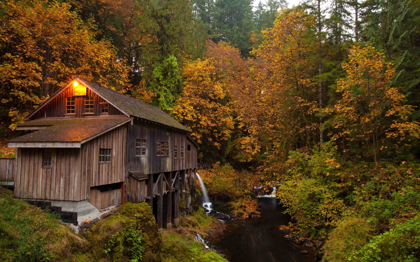 Деревянный дом над речушкой в лесу