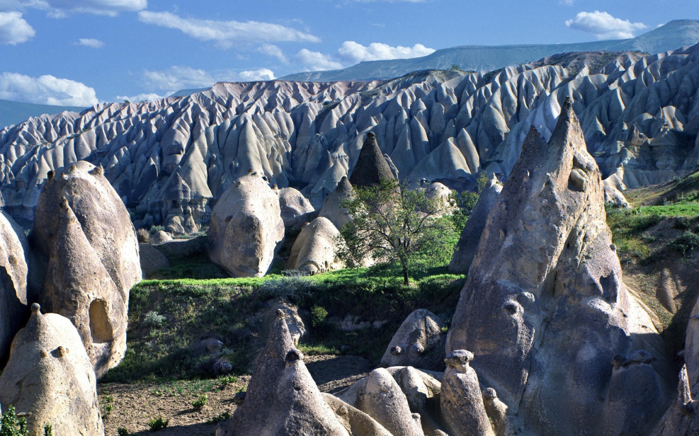 Поле конусо подобных скал в горах