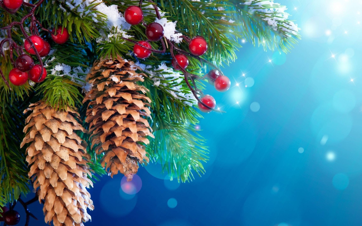 Шишки и ягоды на хвойном дереве