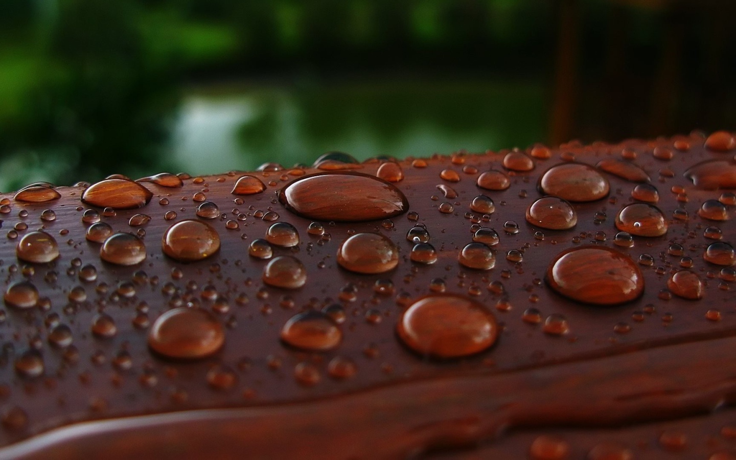 Капли влаги на коричневой поверхности
