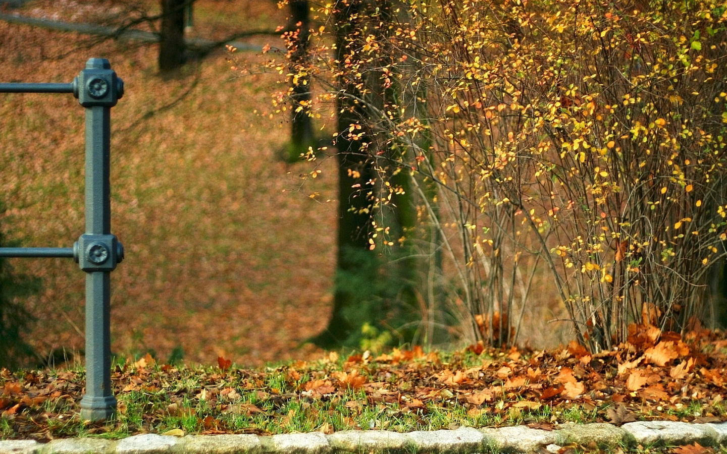 Конец забора