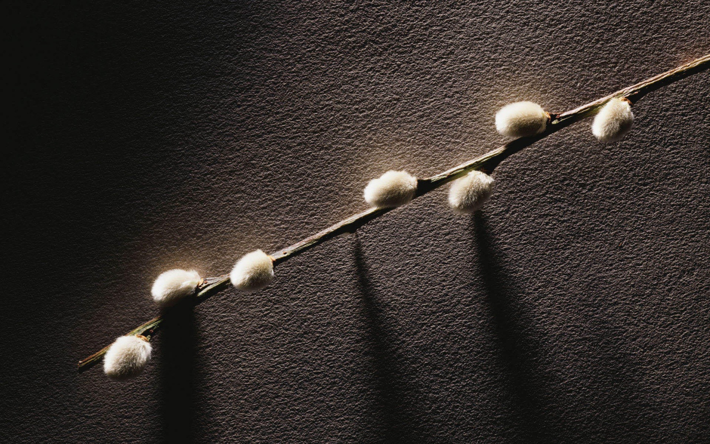 Веточка с весенними почками