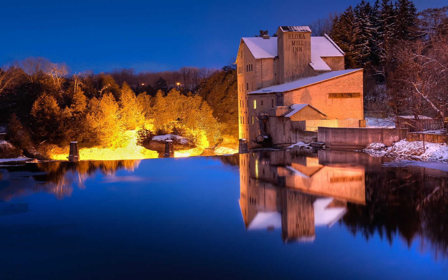 Освещенные деревья на берегу озера