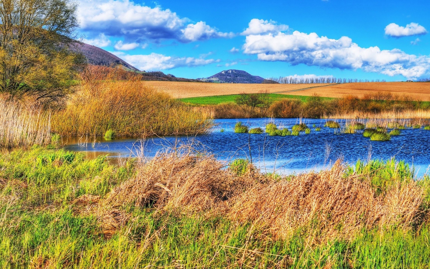 Болотистое место среди полей