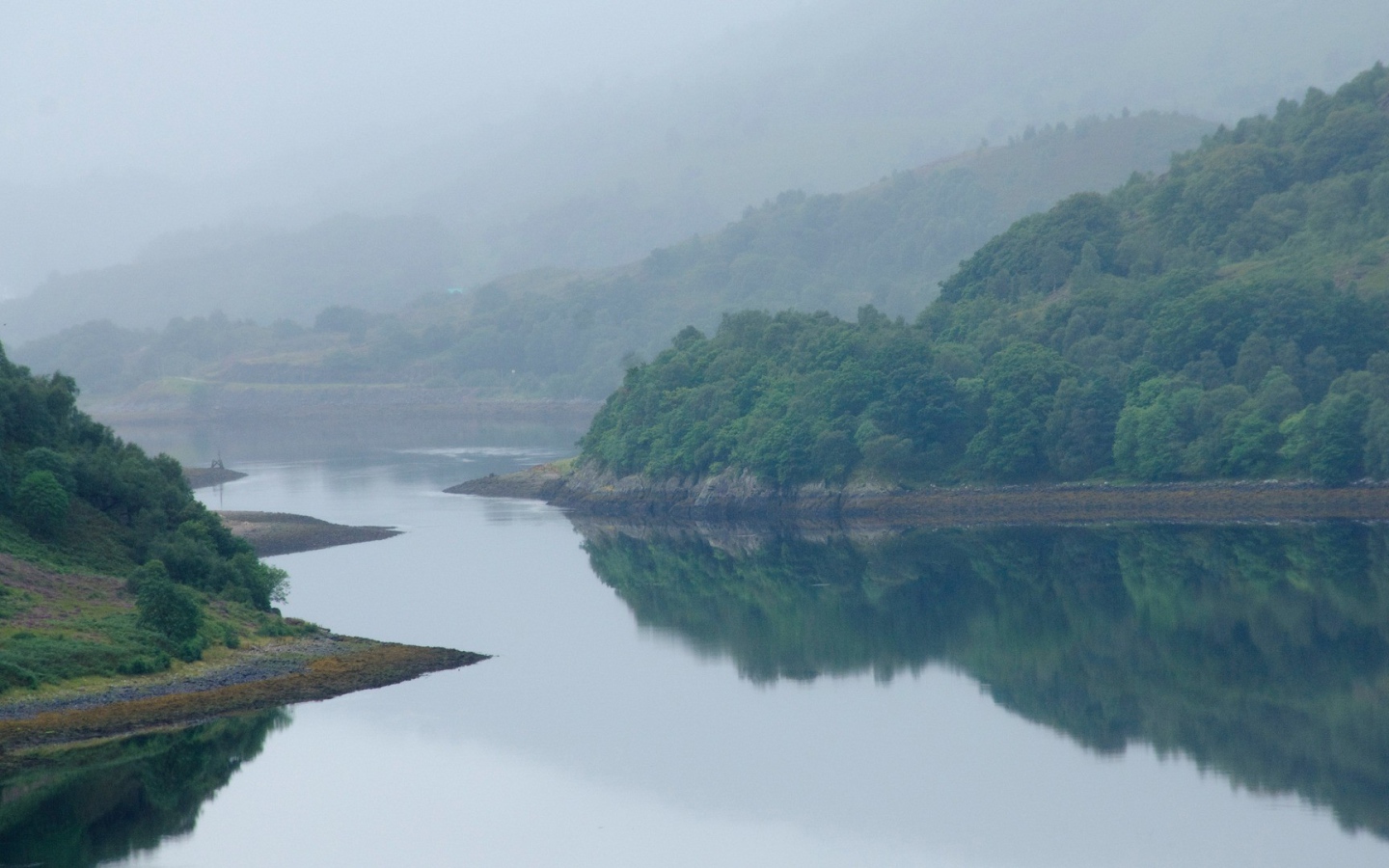 Извилистая река посреди поросших деревьями берегов