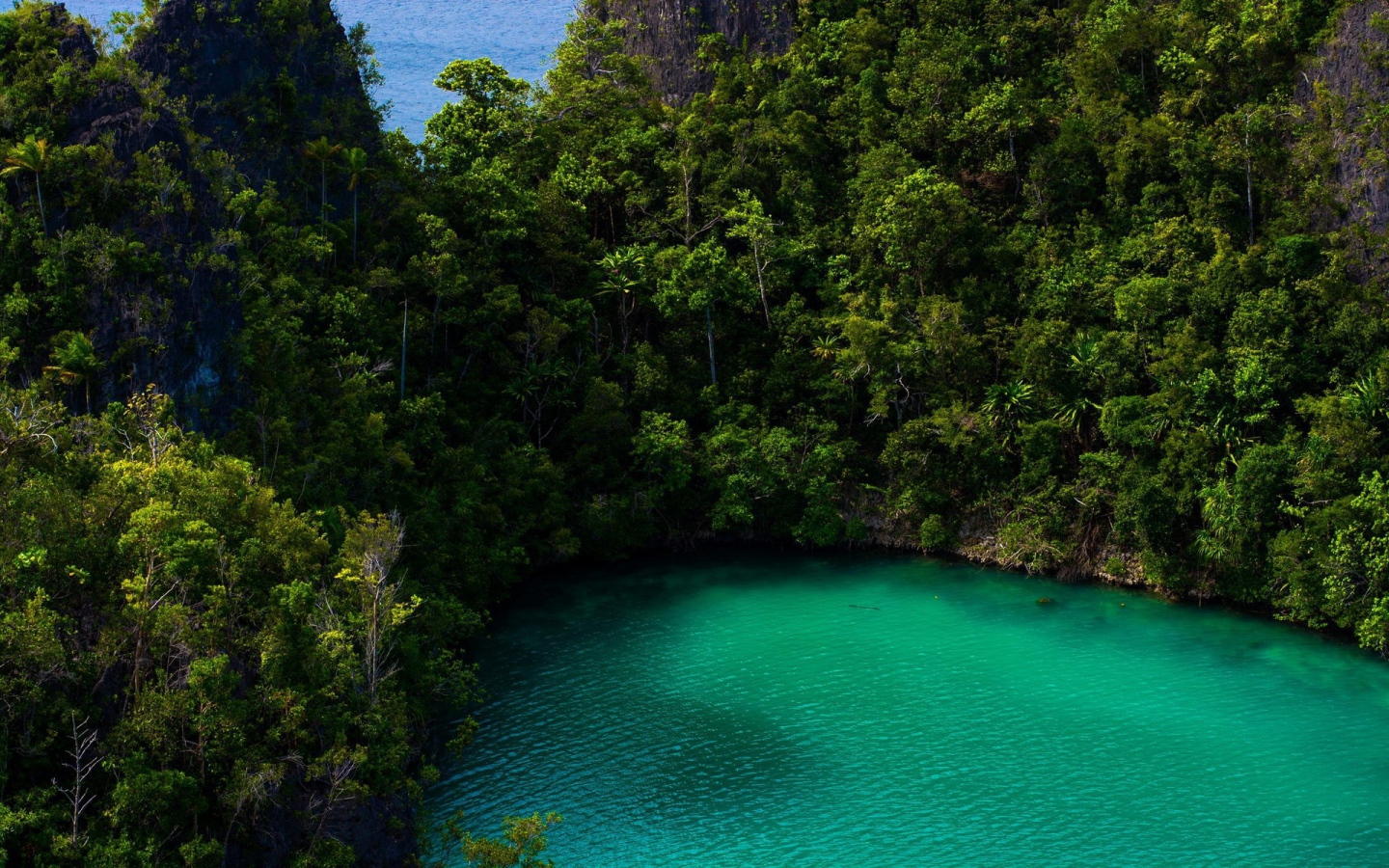 Бирюзовое озеро в тропическом лесу