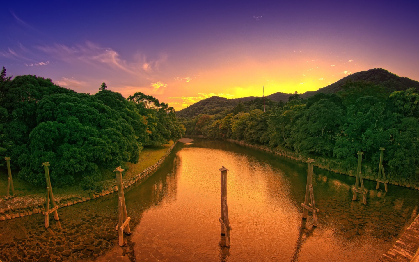 Деревянные столбы в канале