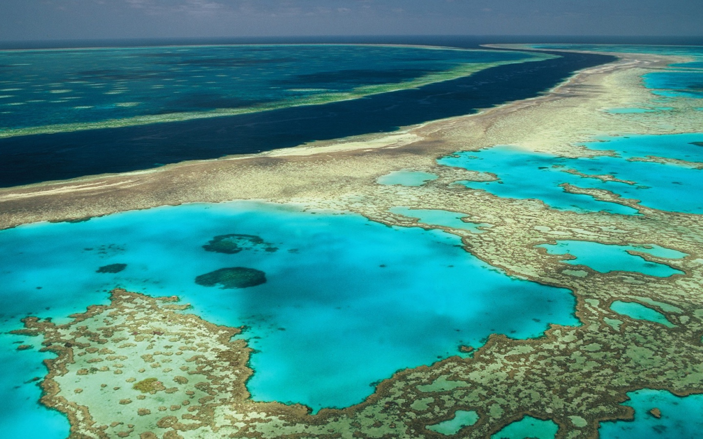 Коралловые рифы в океане