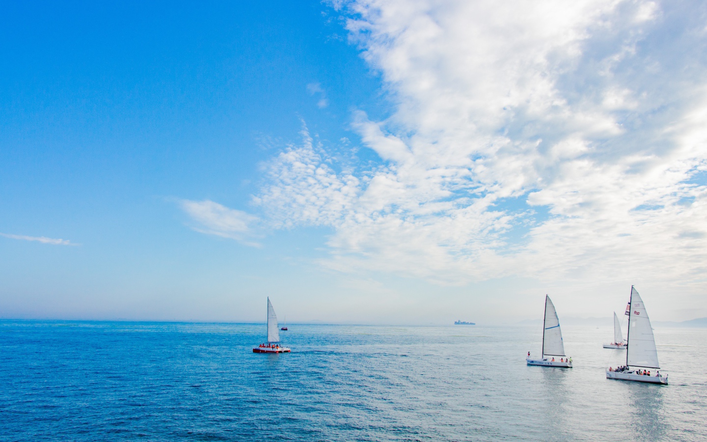 Несколько парусников на тихой глади залива