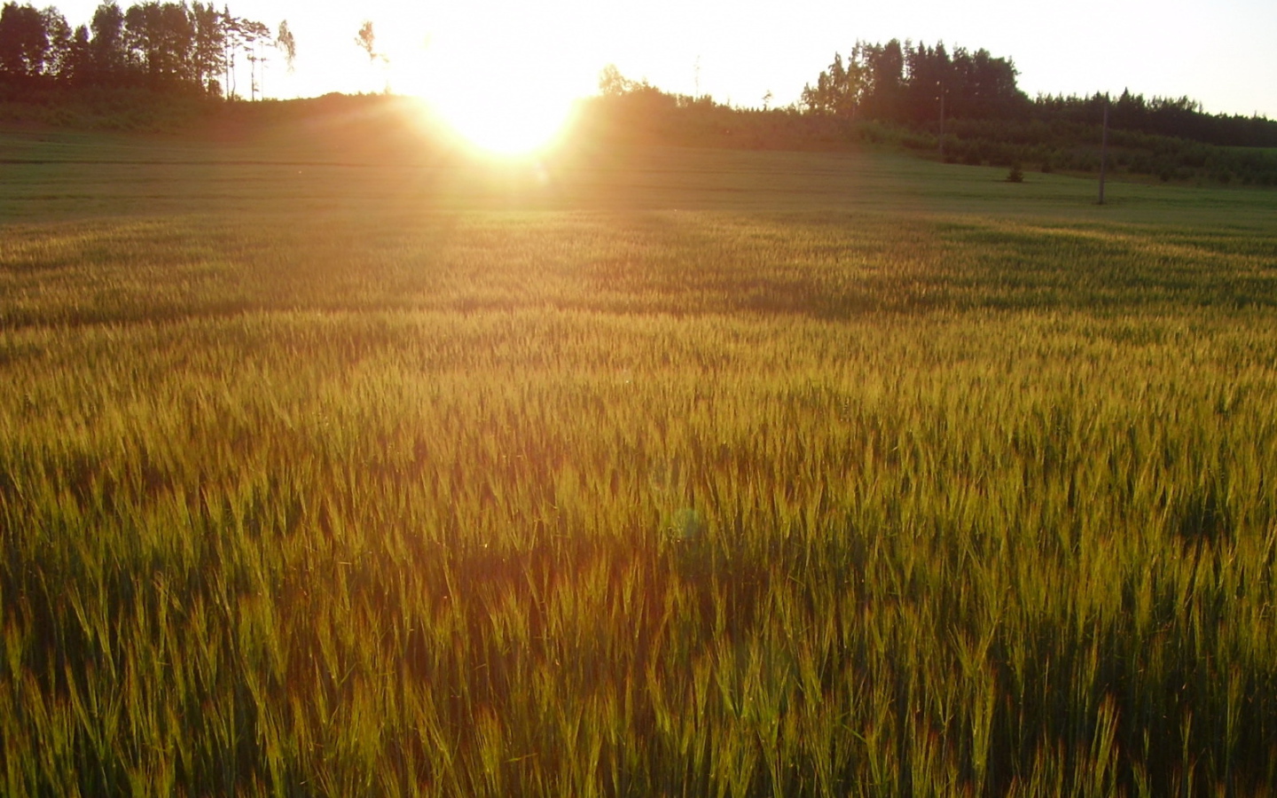 Солнце заходит за холм
