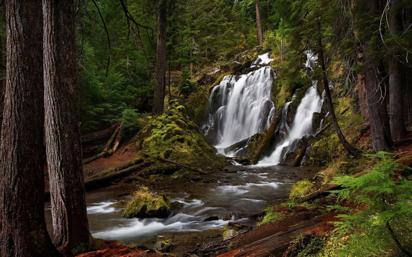 Водопад, скрытый в чаще леса