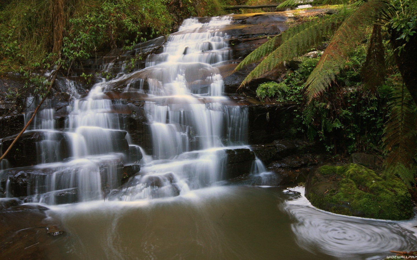 Водопад на черной скале в лесу