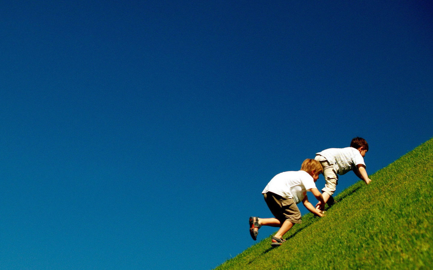 Дети играют на траве