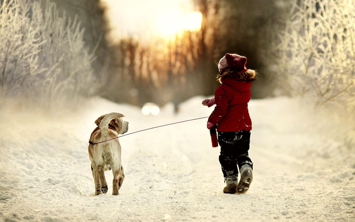 Девочка ведет собаку на поводке на прогулку