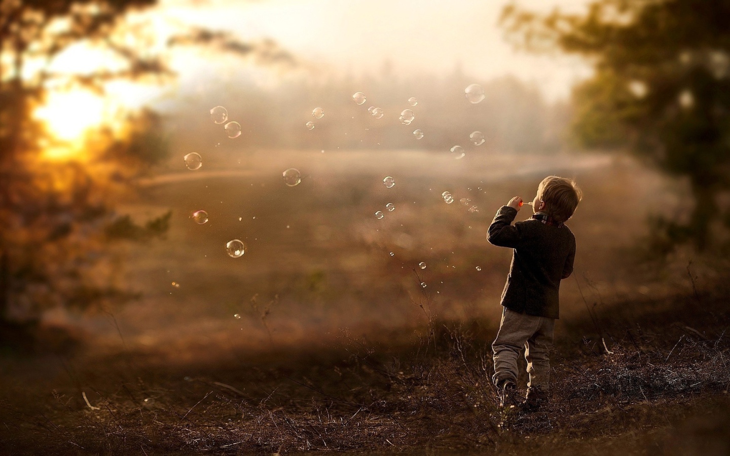 Мальчик запускает мыльные пузыри